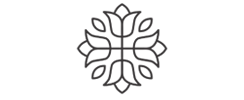 logo-raizz-preta-transparente
